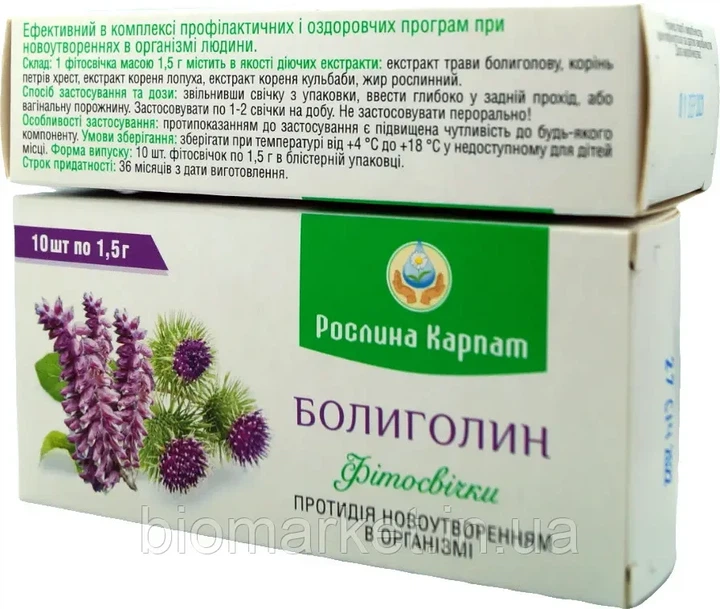 Фітосвічки Боліголин 10штук, «Рослина Карпат» Застосовується в комплексі при онко захворювань. - зображення 2
