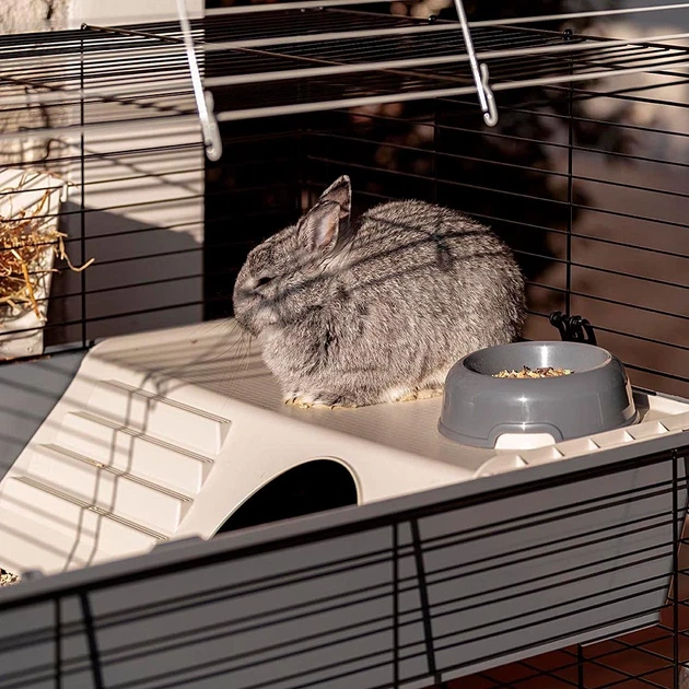 Клетка для кроликов и морских свинок Ferplast Rabbit 100 Double 95х57х93.5 см Серая двухэтажная (57046817) - Фото 10 Клетка для кроликов и морских свинок Ferplast Rabbit 100 Double 95х57х93.5 см Серая двухэтажная (57046817) - изображение 10