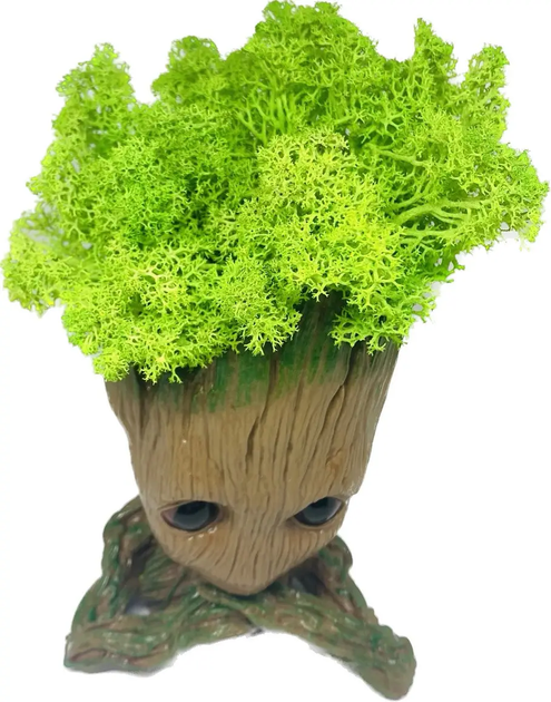 Кашпо горщик зі стабілізованим мохом FMA Groot G3 14х9,5х7 см Бежевий (2417741878) - Фото 4 Кашпо горщик зі стабілізованим мохом FMA Groot G3 14х9,5х7 см Бежевий (2417741878) - зображення 4