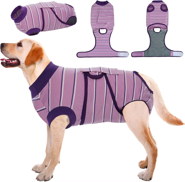 Восстановительная попона для собак Wan Talk Recovery Suit, Violet Stripe, L - Фото 2 Восстановительная попона для собак Wan Talk Recovery Suit, Violet Stripe, L - изображение 2
