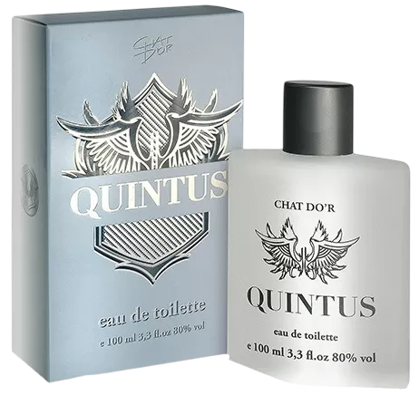 Туалетна вода для чоловіків Chat D'or Quintus 100 мл (5901801111634) - зображення 1
