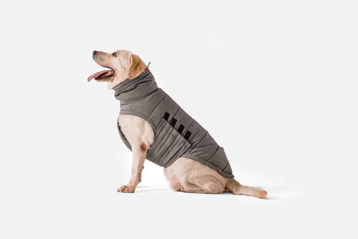 Одежда Noble Pet Bobby Gray – пуховик для собак 7XL (B4118/7XL) - Фото 3 Одежда Noble Pet Bobby Gray – пуховик для собак 7XL (B4118/7XL) - изображение 3