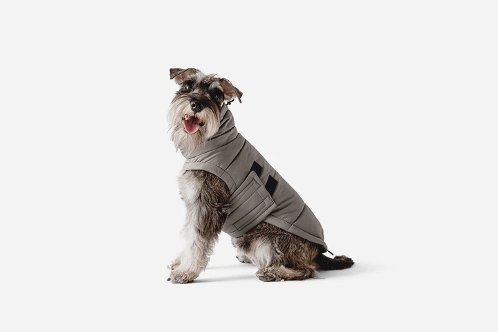 Одежда Noble Pet Bobby Gray – пуховик для собак 7XL (B4118/7XL) - Фото 6 Одежда Noble Pet Bobby Gray – пуховик для собак 7XL (B4118/7XL) - изображение 6