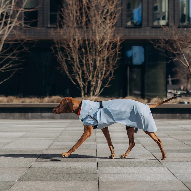 Одежда Noble Pet Rio Light Blue – дождевик для собак 7XL (R4137/7XL) - изображение 6