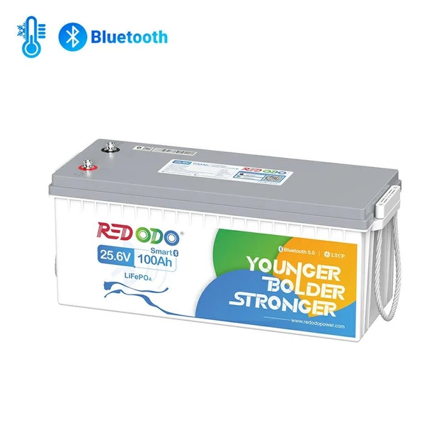 Аккумулятор LiFePO4 Redodo 24V 100А·ч 2560 Wh | Bluetooth BMS >4000 циклов, литий-железо-фосфатная батарея - Фото 1 Аккумулятор LiFePO4 Redodo 24V 100А·ч 2560 Wh | Bluetooth BMS >4000 циклов, литий-железо-фосфатная батарея - изображение 1