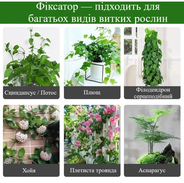 Самоклеючі кліпси-тримачі для кімнатних рослин, ліан, проводів і аксесуарів набір 30 шт зелені R9546 - зображення 8