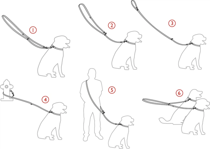 Smycz regulowana Amiplay London 6 w 1 S 100 - 200 cm Szara (5907563253971) - obraz 3