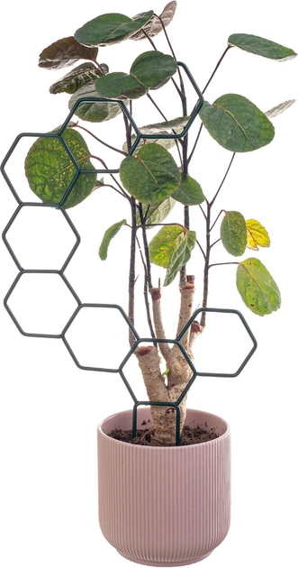 Підставки для горщиків Kadax Fora шестигранник K11365 3 шт. - зображення 2