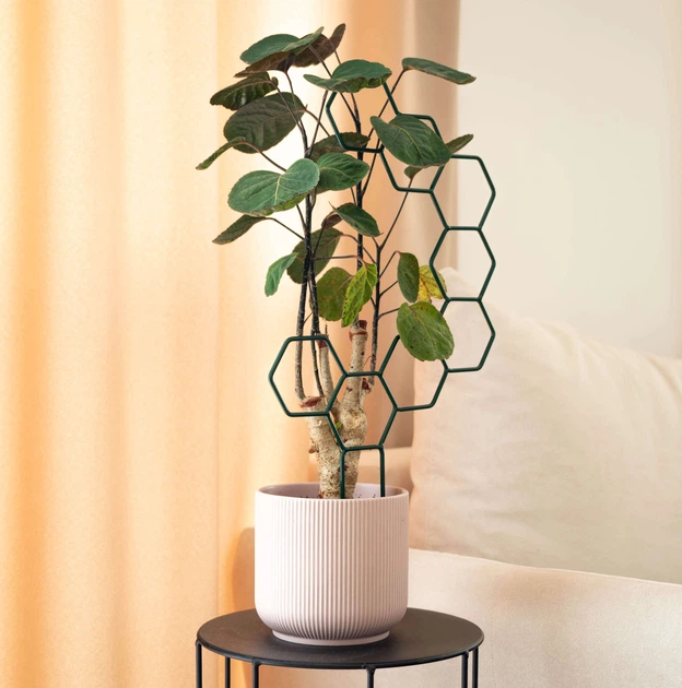 Підставки для горщиків Kadax Fora шестигранник K11365 3 шт. - зображення 5