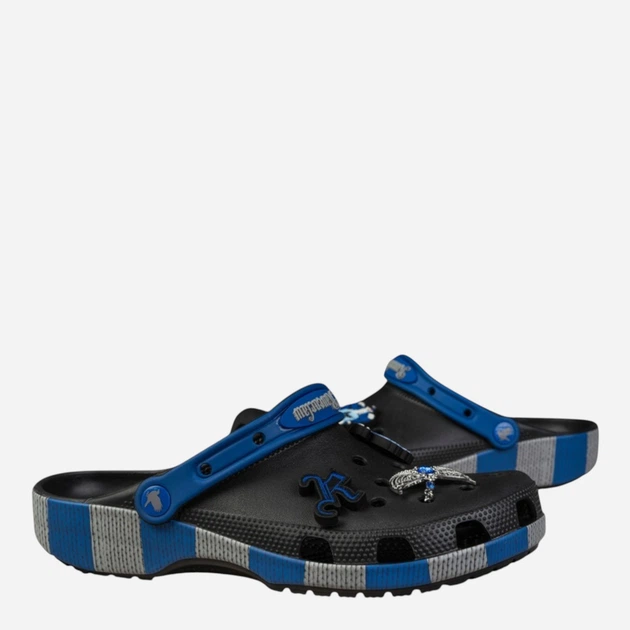 Чоловічі шльопанці Crocs Ravenclaw Classic Clog 210528-90H 45-46 (M11) 29 см Чорні (196265853663) - зображення 3