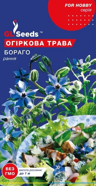Насіння GL Seeds Огіркової трави Бора Рання 1г - Фото 1 Насіння GL Seeds Огіркової трави Бора Рання 1г - зображення 1
