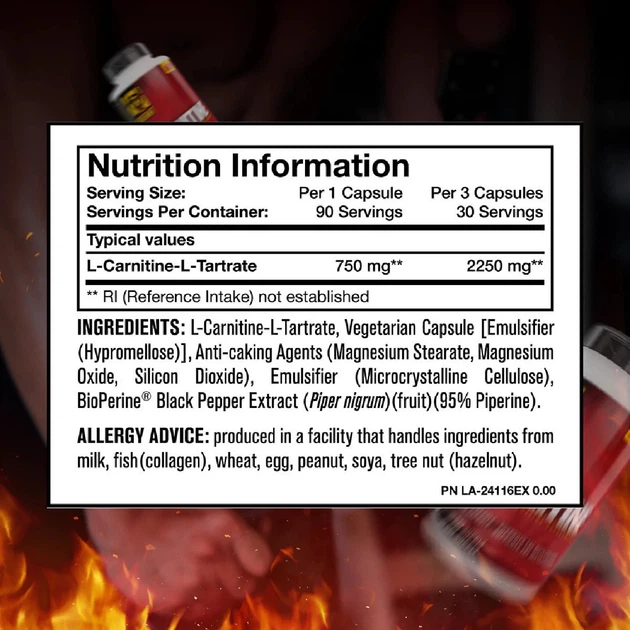 quemador l carnitina L-Carnitina