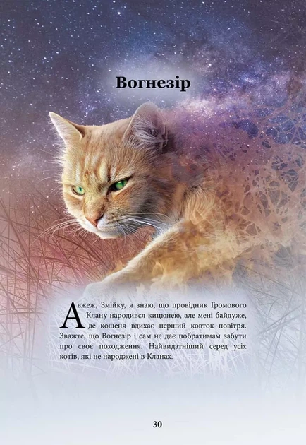 Коти - вояки. Герої Кланів. Хроніки Зореклану - Е. Гантер (9786178387907) - Фото 2 Коти - вояки. Герої Кланів. Хроніки Зореклану - Е. Гантер (9786178387907) - изображение 2