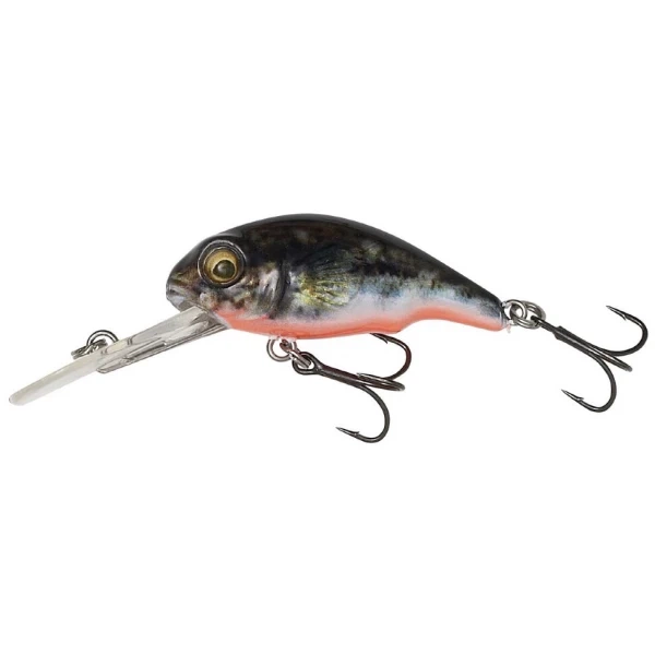 Воблер Savage Gear 3D Goby Crank Bait 40F 40mm 3.5g Чорний/Помаранчевий (1013-1854.11.29) - Фото 1 Воблер Savage Gear 3D Goby Crank Bait 40F 40mm 3.5g Чорний/Помаранчевий (1013-1854.11.29) - зображення 1