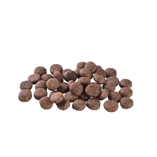 Корм сухой Brit Care Dog Grain-free Adult для взрослых собак малых и средних пород беззерновой с лососем 12 кг - Фото 7 Корм сухой Brit Care Dog Grain-free Adult для взрослых собак малых и средних пород беззерновой с лососем 12 кг - изображение 7