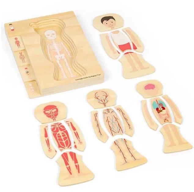 Пазл дерев'яний Bigjigs Хлопчик анатомічний 26 елементів 3000018 (691621850213) - зображення 4