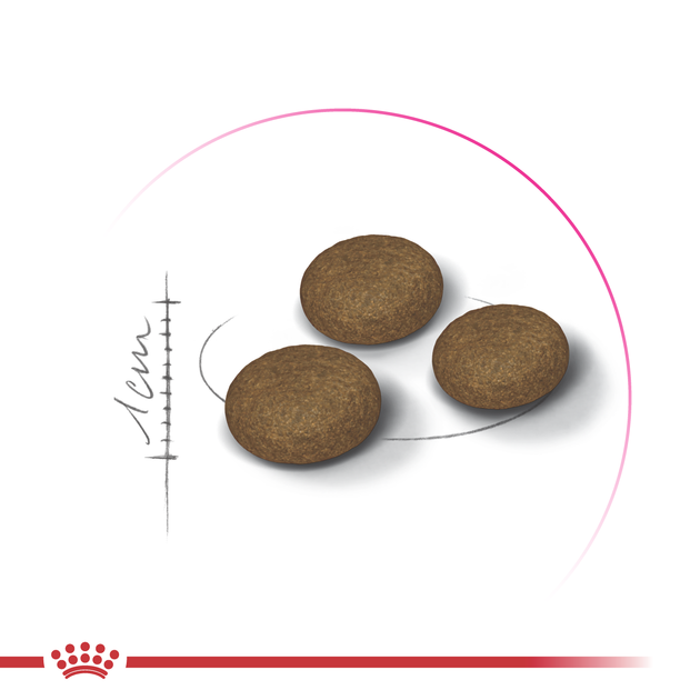 Сухий корм Royal Canin FUSSY CAT(Роял Канін Фассі) для вибагливих котів 4 кг - изображение 2