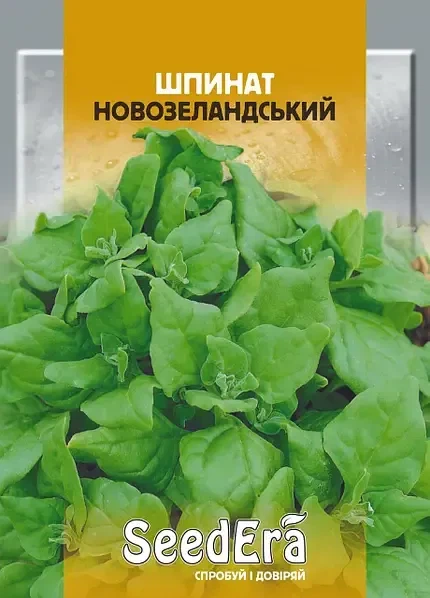 Насіння шпинату Новозеландський 10г - Фото 1 Насіння шпинату Новозеландський 10г - зображення 1