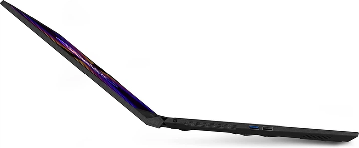 Ноутбук MSI Katana 17 B13VEK (B13VEK-1472PL) Black - зображення 9