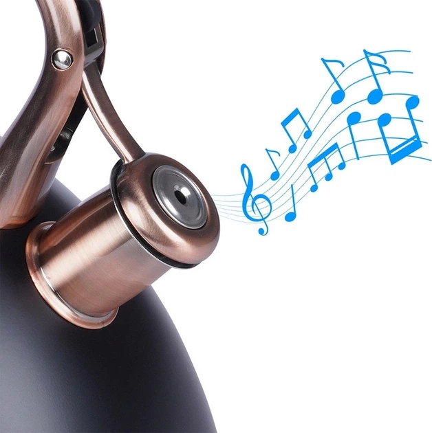 Чайник Vilde зі свистком сталевий чорний 3 л (5904316457082) - зображення 3