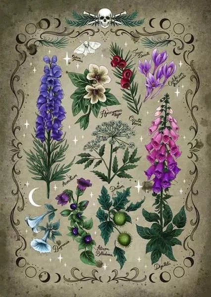 Puzzle Ravensburger Toxic Plants 1000 elementów (4005555007814) - obraz 2