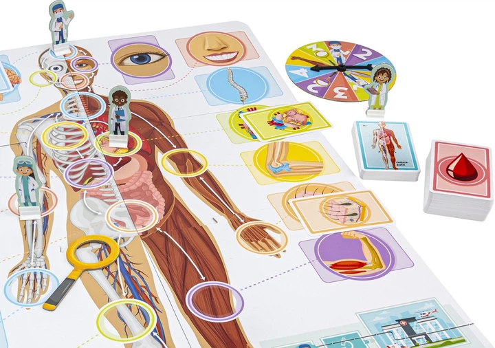 Gra planszowa Tactic Się uczę - ludzkie ciało (6416739605500) - obraz 2