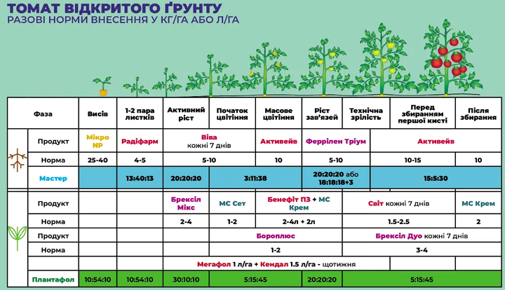 Радифарм (Radifarm) 1л биостимулятор роста корневой системы укоренитель Valagro (Валагро) - Фото 5 Радифарм (Radifarm) 1л биостимулятор роста корневой системы укоренитель Valagro (Валагро) - изображение 5
