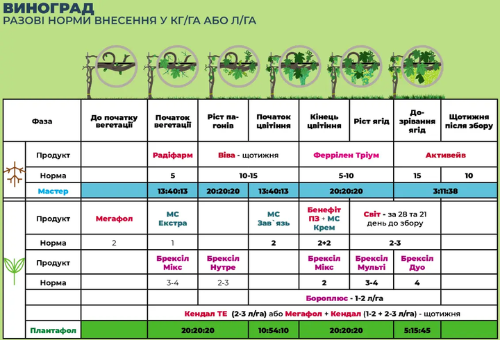 Радифарм (Radifarm) 1л биостимулятор роста корневой системы укоренитель Valagro (Валагро) - Фото 4 Радифарм (Radifarm) 1л биостимулятор роста корневой системы укоренитель Valagro (Валагро) - изображение 4
