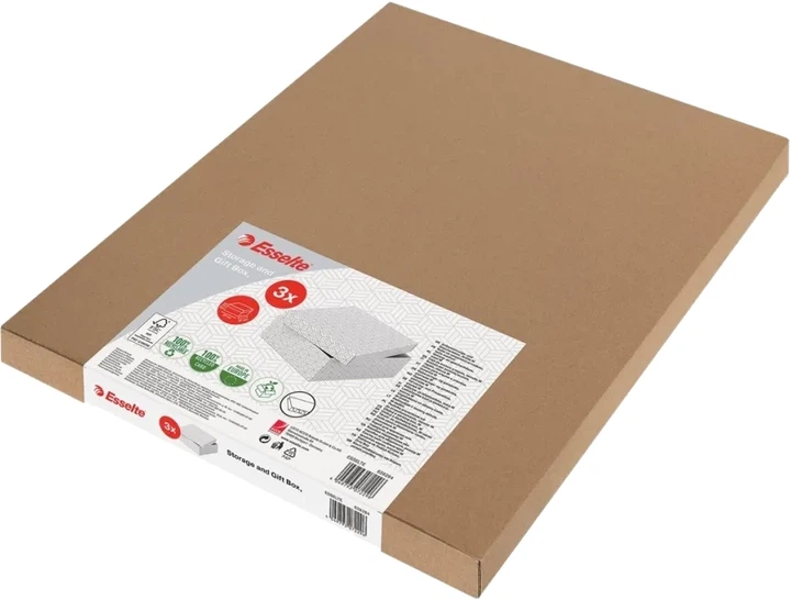 Zestaw kartonowych pudełek do przechowywania Esselte Cardboard 36 × 26.5 × 10 cm 3 szt Białe 628284 (4049793072296) - obraz 2