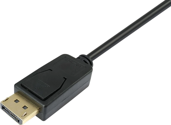 Kabel Equip DisplayPort Male to DVI Male 2 m Black (119336) - obraz 2