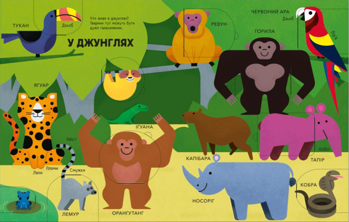 Дитяча книжка-картонка для найменших Тварини Моя перша книга з віконцями Макрей Енн Ранок - зображення 3