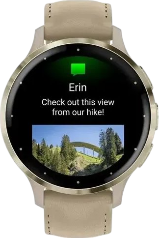 Smartwatch Garmin Venu 3S Soft Gold S. Steel Bezel w. French Gray Case and Leather Band (010-02785-55) - obraz 4