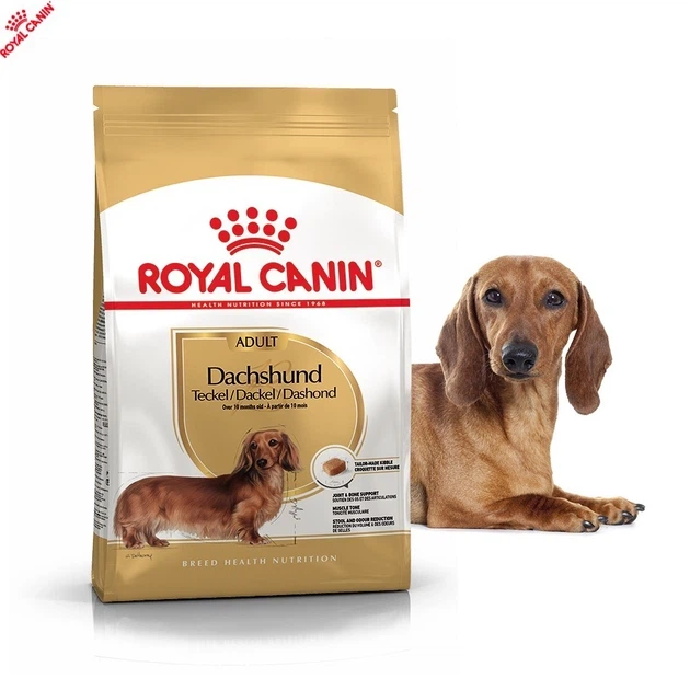 Сухой корм Royal Canin Dachshund Adult - сухой корм для такс от 10 мес. 7,5 кг (30590175) - изображение 7