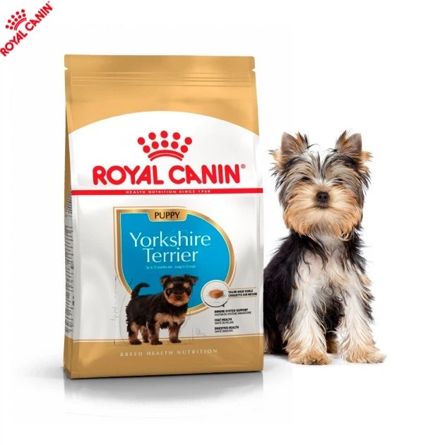 Сухой корм Royal Canin Yorkshire Terrier Puppy - для щенков йоркширского терьера от 2 до 10 месяцев, 0.5 кг (39720051) - Фото 7 Сухой корм Royal Canin Yorkshire Terrier Puppy - для щенков йоркширского терьера от 2 до 10 месяцев, 0.5 кг (39720051) - изображение 7