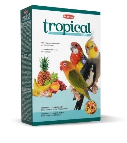 Дополнительный мягкий корм для средних попугаев Padovan Tropical Patee 700г в упаковке (PP00090) - изображение 2