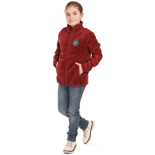 Флисовая кофта мужская Alpine Pro Ferado 431 128-135 (100077305) - изображение 5
