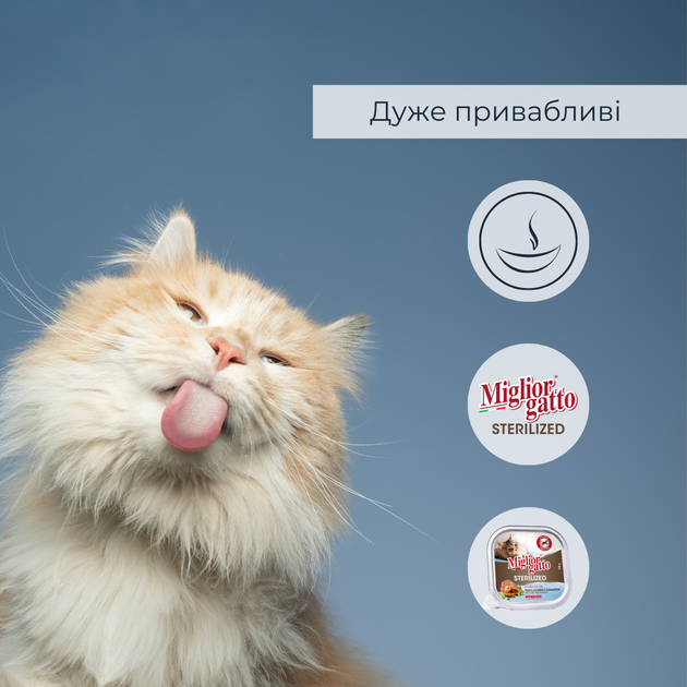 Консервований корм Morando Migliorgatto Sterilized Беззернові консерви для стерилізованих котів з блакитною рибою та креветками 100 г (m01455) - Фото 5 Консервований корм Morando Migliorgatto Sterilized Беззернові консерви для стерилізованих котів з блакитною рибою та креветками 100 г (m01455) - зображення 5