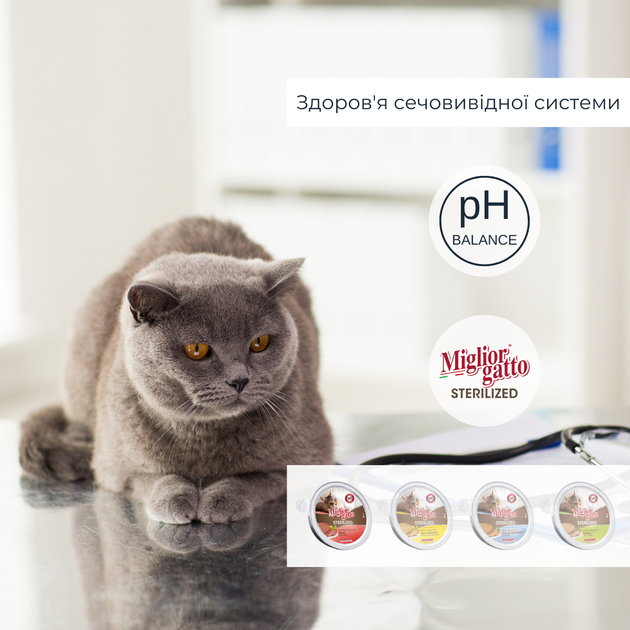Консервированный корм Morando Migliorgatto Sterilized Беззерновые консервы для стерилизованных кошек мусс с говядиной 85 г (m01461) - изображение 2