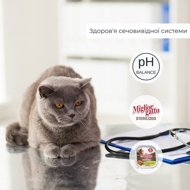 Консервированный корм Morando Migliorgatto Sterilized Беззерновые консервы для стерилизованных кошек с курицей ягненком и овощами 100 г (m01452) - Фото 2 Консервированный корм Morando Migliorgatto Sterilized Беззерновые консервы для стерилизованных кошек с курицей ягненком и овощами 100 г (m01452) - изображение 2