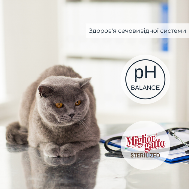 Консервированный корм Morando Migliorgatto Sterilized Беззерновые консервы для стерилизованных кошек курица и индейка кусочки в соусе 85 г (m01474) - изображение 2