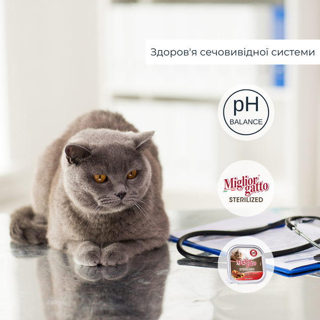 Консервований корм Morando Migliorgatto Sterilized Беззернові консерви для стерилізованих котів з яловичиною, печінкою та морквою 100 г (m01453) - зображення 2