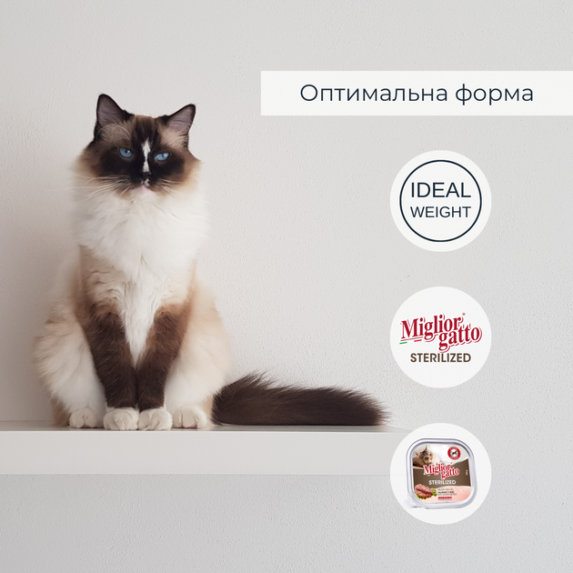 Консервированный корм Morando Migliorgatto Sterilized Консервы для стерилизованных кошек с лососем и рисом 100 г (m01454) - Фото 3 Консервированный корм Morando Migliorgatto Sterilized Консервы для стерилизованных кошек с лососем и рисом 100 г (m01454) - изображение 3