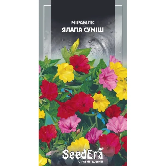 Насіння квітів Мірабіліс Ялапа суміш (Нічна красуня) 1.5г - Фото 1 Насіння квітів Мірабіліс Ялапа суміш (Нічна красуня) 1.5г - изображение 1