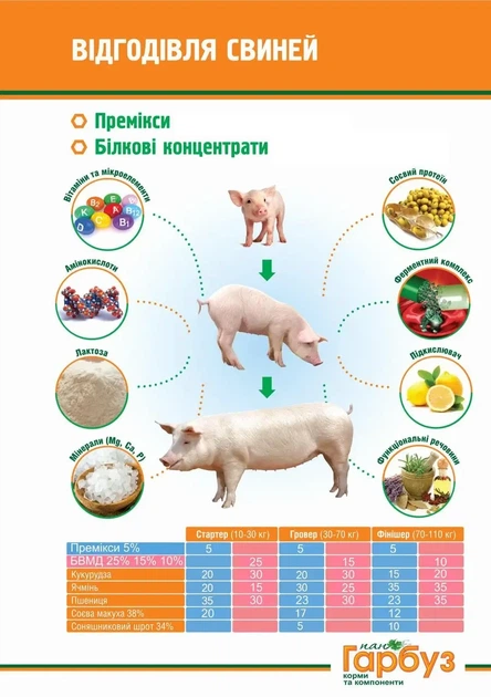 БВМД Пан Гарбуз СТАРТЕР 25% для свиней вагою 10-30 кг 25 кг - зображення 3