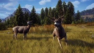 Ключ активации Way of the Hunter: Elite Edition для Xbox Series - Фото 8 Ключ активации Way of the Hunter: Elite Edition для Xbox Series - изображение 8