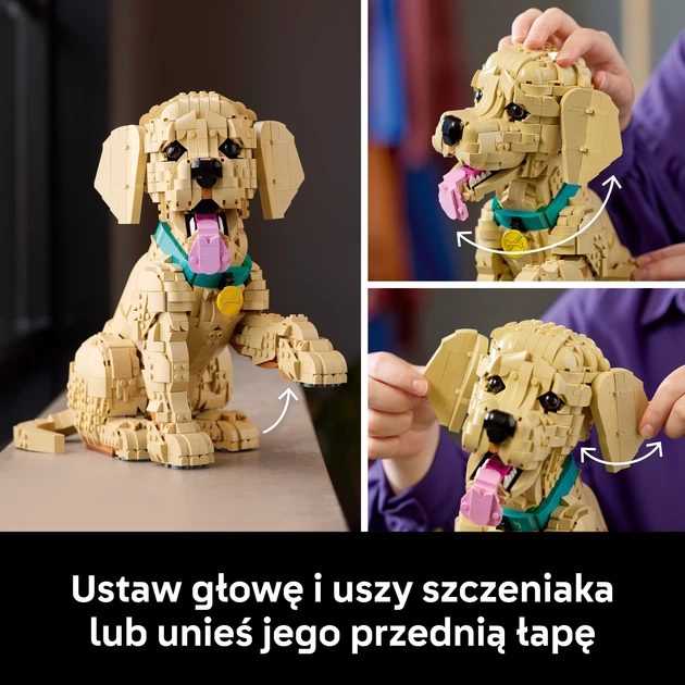 Zestaw klocków LEGO Icons Szczeniak golden retriever 2102 elementy (1384) - obraz 5