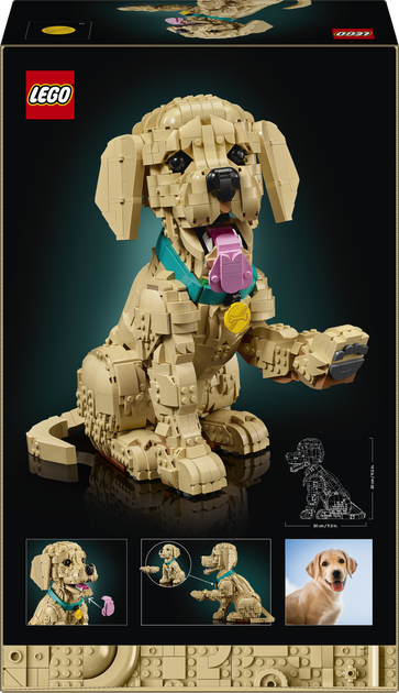 Zestaw klocków LEGO Icons Szczeniak golden retriever 2102 elementy (1384) - obraz 9
