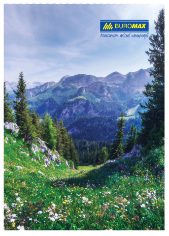 Книга канцелярская А4 96 л., клетка, твердая ламинированная обложка ВМ.2430 газетная бумага - Фото 1 Книга канцелярская А4 96 л., клетка, твердая ламинированная обложка ВМ.2430 газетная бумага - изображение 1