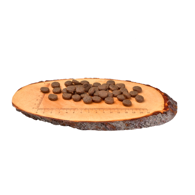Корм сухой Carnilove Puppy Large Breed Salmon and Turkey для щенков крупных пород с лососем и индейкой 1,5 кг - изображение 2