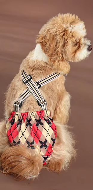 Багаторазовий підгузок для сук Derby Reusable Dog Diaper KS008-01, 3XL на шлейках - зображення 2